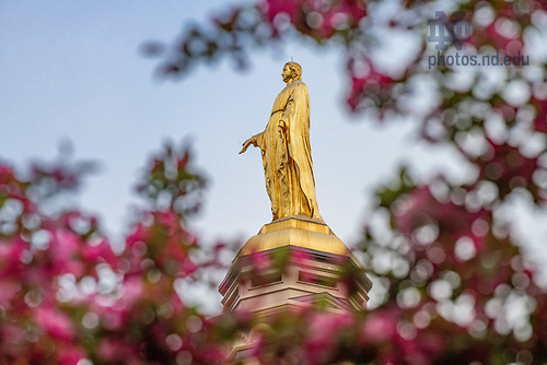 MC 5.10.20 Mary Statue.JPG by Matt Cashore/University of Notre Dame May 10, 2020; Mary statue on the Golden Dome (Photo by Matt Cashore/University of Notre Dame)