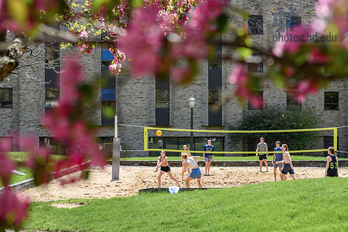 MC 5.4.23 Spring Scenic 01.JPG by Matt Cashore/University of Notre Dame May 4, 2023; Students play volleyball in the sand volleyball court between Pasquerilla East and West.(Photo by Matt Cashore/University of Notre Dame)
