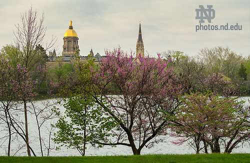 5.9.18 Campus Spring 2018 15549.JPG by Barbara Johnston/University of Notre Dame May 9, 2018; Main Building, Golden Dome, St. Joseph Lake, spring 2018. Photo by Barbara Johnston/University of Notre Dame