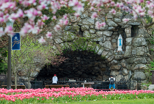 5.2.18 Campus Spring 2018 15550.JPG by Barbara Johnston/University of Notre Dame May 2, 2018; Grotto, spring 2018. Photo by Barbara Johnston/University of Notre Dame