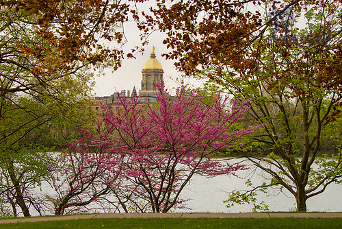 5.9.18 Campus Spring 2018 15539.JPG by Barbara Johnston/University of Notre Dame May 9, 2018; Main Building, Golden Dome, St. Joseph Lake, spring 2018. Photo by Barbara Johnston/University of Notre Dame