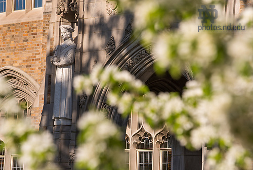 5.6.18 Campus Spring 2018 15541.JPG by Barbara Johnston/University of Notre Dame April 18, 2017; Biolchini Hall of Law, St. Thomas More door.  (Photo by Barbara Johnston/University of Notre Dame)