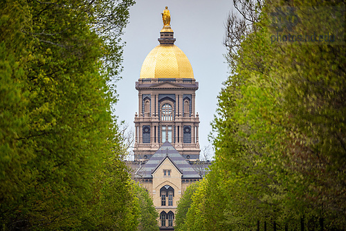 MC 5.2.20 Spring Dome.JPG by Matt Cashore/University of Notre Dame May 2, 2020; Main Building framed by Notre Dame Avenue trees (Photo by Matt Cashore/University of Notre Dame)