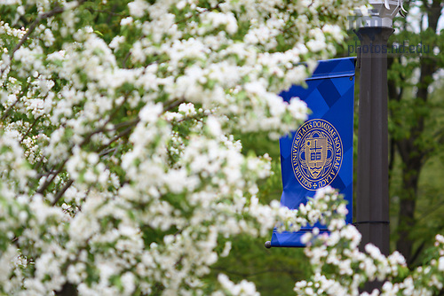 MC 5.2.19 Spring Scenic.JPG by Matt Cashore/University of Notre Dame May 2, 2019; University seal banner and spring blooms (Photo by Matt Cashore/University of Notre Dame)
