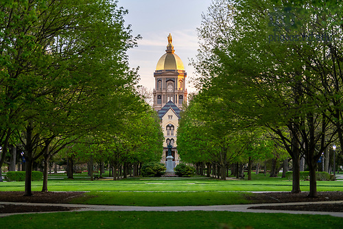 BJ 5.4.20  Main Building 1212.JPG by Photo by Barbara Johnston/University of Notre Dame May 4, 2020;  The Main Building just after sunrise, spring, 2020. (Photo by Barbara Johnston/University of Notre Dame)