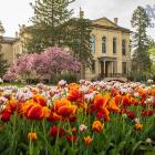5.9.18 Campus Spring 2018 15545.JPG by Barbara Johnston/University of Notre Dame