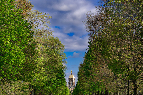 MC 4.20.24 ND Ave.JPG by Matt Cashore/University of Notre Dame April 20, 2024; Notre Dame Avenue spring 2024 (Photo by Matt Cashore/University of Notre Dame)