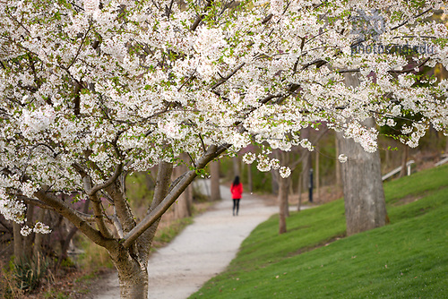 MC 4.12.21 Lake Path.JPG by Matt Cashore/University of Notre Dame April 12, 2021; Path around St. Joseph Lake, spring 2021 (Photo by Matt Cashore/University of Notre Dame)