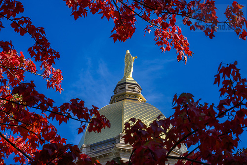 MC 10.17.23 Fall Scenic.JPG by Matt Cashore/University of Notre Dame October 17, 2023; Dome and fall tree (Photo by Matt Cashore/University of Notre Dame)