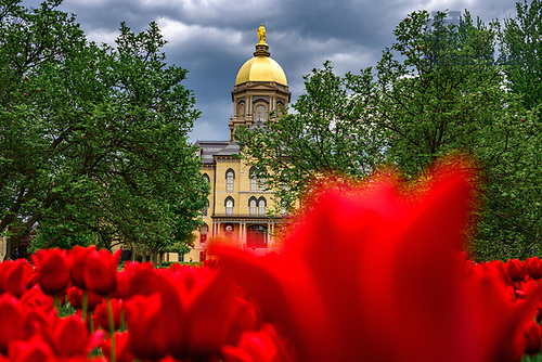 MC 5.2.24 Main Quad Spring 02.JPG by Matt Cashore/University of Notre Dame May 2, 2024; Main Quad with passing grain clouds to the north (Photo by Matt Cashore/University of Notre Dame)